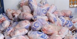 شرکت پشتیبانی امور دام روزانه 500 تن مرغ مازاد مرغداران را خریداری می کند