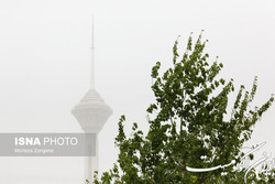 احتمال ورود کمیسیون بهداشت به موضوع ریزگردها در هفته آتی