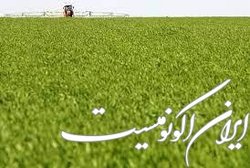دسترسی روسیه به کود محدود می‌شود؟