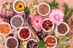 توسعه کشت گیاهان دارویی در سطحی بالغ بر ۴۰ هزار هکتار در سالجاری