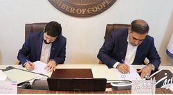 اتاق تعاون و سازمان ملی بهره‌وری تفاهم‌نامه همکاری امضا کردند