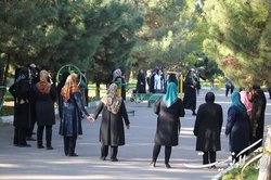 تشریح ۱۲ طرح ملی ورزش همگانی در سال ۱۴۰۱