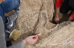 کشف قایق چهارهزارساله در صحرا
