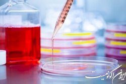 خبرهایی خوش از پروژه  شهر سلول  کرج در سال جاری