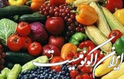 دستورالعمل نظارت برتولید و ارتقای سلامت محصولات گیاهی ابلاغ شد