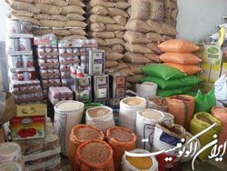 اختصاص ۳ میلیارد دلار برای واردات کالاهای اساسی