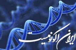 آموزش طراحی پرایمر