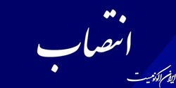سیدضیاء ایمانی مدیرعامل بانک صادرات ایران شد