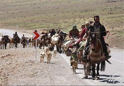عشایر امسال بیمه رایگان می شوند