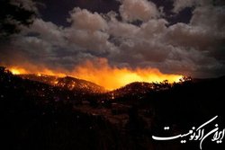 تخریب صدها خانه در حریق جنگلی نیومکزیکو