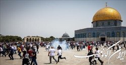پاسخ کوبنده مجاهدان قدس شریف برچیده شدن بساط رژیم سفاک صهیونیستی را سرعت خواهد بخشید