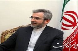 باقری‌کنی: سیاست خارجی و سیاست دفاعی هم‌افزا و مکمل یکدیگرند