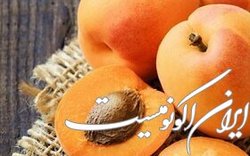مصرف زرد آلو مفید برای روزه داران
