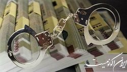 جزئیات طرح اصلاح قانون مجازات اخلالگران نظام اقتصادی از زبان نماینده تهران