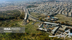 سناریوی مرگ تدریجی در باغستان قزوین