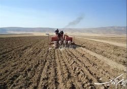 طرح جهش تولید در ۱۴ هزار هکتار از دیم‌زارهای خلخال اجرا می‌شود