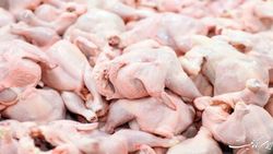 هزار تن گوشت مرغ مازاد از تولیدکنندگان گلستانی خریداری شد