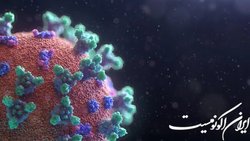 تایید اولین ابتلا به زیرسویه جدید امیکرون در هند