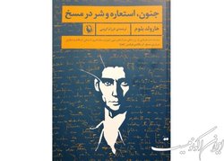 کتابی درباره «مسخ» کافکا