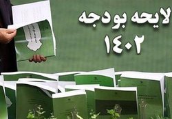 پیام خطرناک برای اقتصاد ایران  بودجه‌ای نوشتیم که فقط حقوق و دستمزد پرداخت کنیم