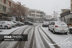 چه کسانی نباید پرتقال و نارنگی بخورند؟