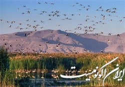 آب به  بختگان  نیمه‌جان می‌رسد!