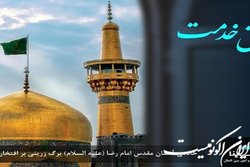 خادمی آستان مقدس حضرت رضا(ع) برگ زرینی بر افتخارات بیمه سینا