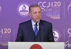 اردوغان: غرب در اوکراین فقط اقدامات تحریک آمیز انجام داده است