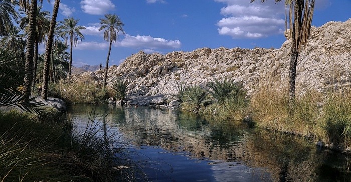 (تصاویر) چشمه سبزپوشان در هرمزگان