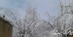 ‌سرما و یخبندان در مناطقی از 21 استان