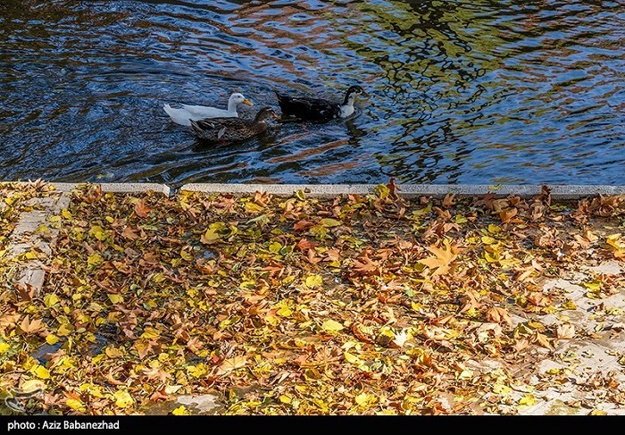 باغ گلستان قلعه فلک الافلاک خرم آباد