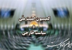 بررسی طرح‌های اقدام متقابل به مصوبه پارلمان اروپا در کمیسیون امنیت ملی