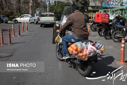 بهشت میوه‌فروش‌ها