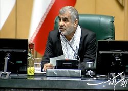 نیکزاد: اگر طرح مجازات افراد به دلیل اظهارنظرشان تصویب شد انتقاد کنید
