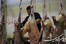 ما به دنبال کاهش هزینه تولید در کشور هستیم
