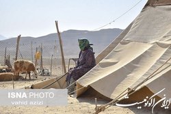 افزایش۶۰ درصدی سطوح درآمدی بیمه‌شدگان صندوق بیمه روستاییان در سال آتی