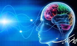 راهکارهایی با رویکرد علوم‌شناختی برای مدیریت سرمایه انسانی و بازاریابی