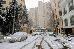 آماده‌باش تمامی ماشین‌آلات تخصصی برف‌روبی شهرداری در نواحی شمالی تهران