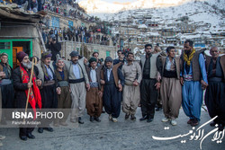 مهمان «عروسی پیر شالیار» شوید