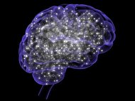 کشف شگفت‌انگیز میلیون‌ها سیناپس خاموش در مغز انسان