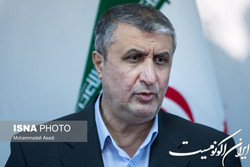 آژانس، بخشی از جریان فشار علیه ایران نباشد