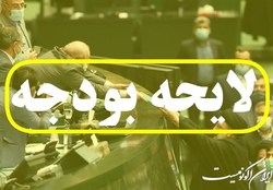 کلیات لایحه بودجه ۱۴۰۲ تصویب شد