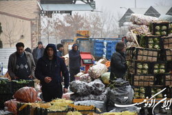 تعطیلی میادین میوه و تره بار تهران ۲۲ بهمن