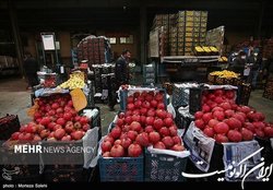 نیمی از محصولات کشاورزی کشور به ضایعات تبدیل می شود