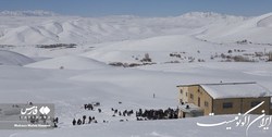 15 درصد مساحت ایران سفید پوش شد