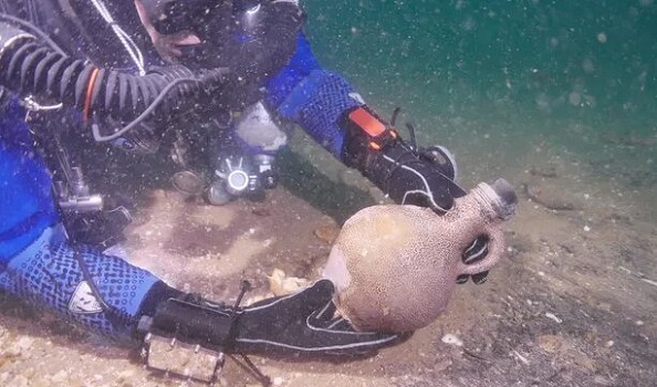 راز کشتی تاریخی غرق‌شده کشف شد