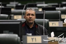 فروردین: وزارت کشاورزی نرخ خرید گندم را مشخص کند
