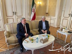 اولیانوف با نماینده ایران در وین دیدار کرد