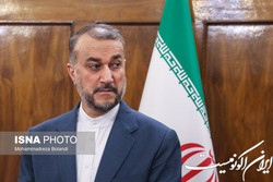 امیرعبداللهیان: در تظاهرات مسالمت‌آمیز پاییز هیچ‌کس دستگیر نشد