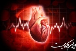 مصرف به اندازه  پتاسیم  عاملی برای حفظ سلامت قلب
